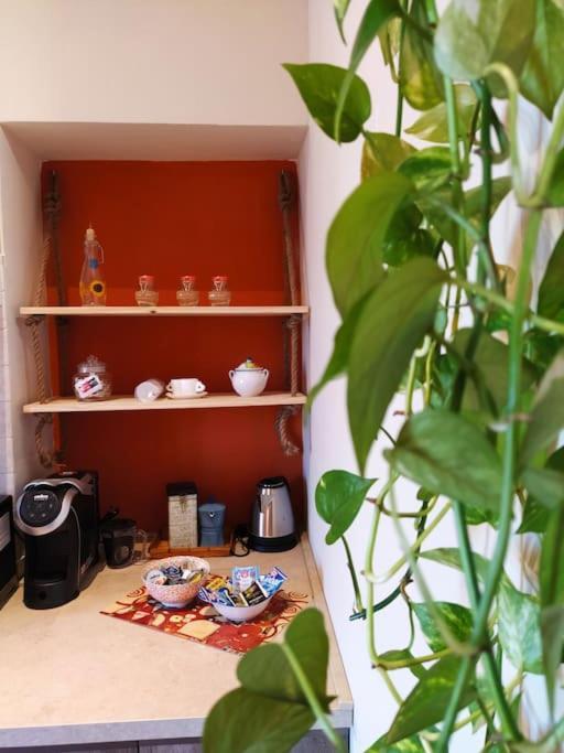 フィウミチーノCasa Degli Alberiアパートメント エクステリア 写真